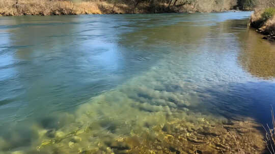 小河流水清澈见底