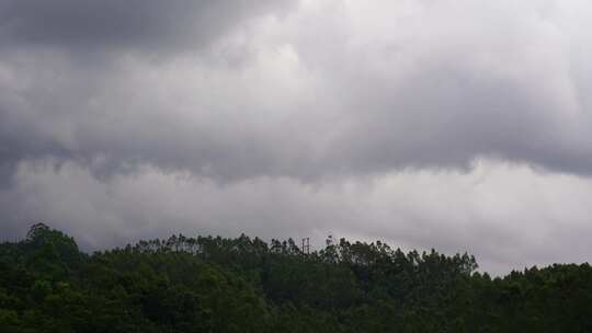 阴天森林乌云飘过树林阴雨天森林大景松树林