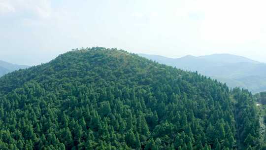 原创航拍天台山华顶国家森林公园4K-1