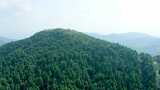 原创航拍天台山华顶国家森林公园4K-1高清在线视频素材下载