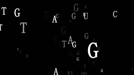 化学生物碱基粒子飞舞特效带通道