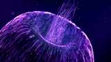 水下科技世界霓虹水母动画高清在线视频素材下载