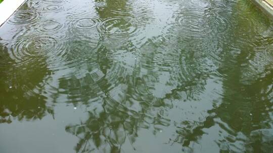 雨水 雨滴 下雨天 雨滴慢动作