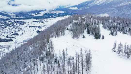 新疆喀纳斯雪景航拍