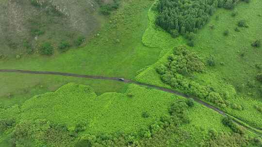 俯拍草原道路小汽车视频素材模板下载