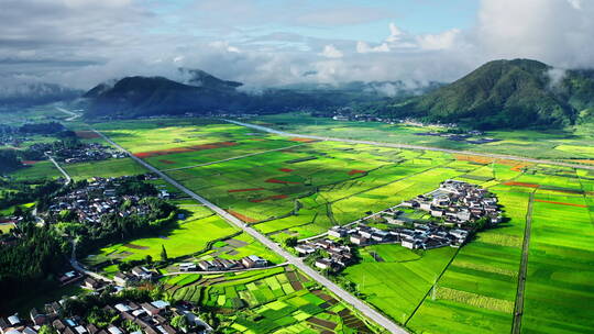 雨后乡村云雾缭绕 唯美阳光 绿色稻田视频素材模板下载