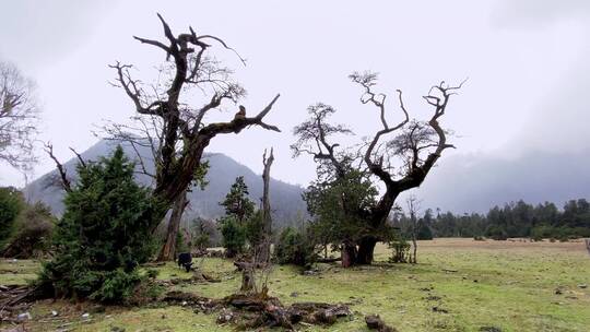 川藏线航拍 荒漠大地 山脉 旷野