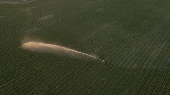 智慧农业喷淋灌溉视频素材模板下载