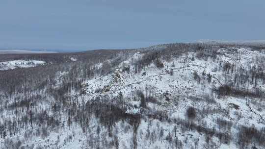 小寒时节的大兴安岭雪景雾凇雪松银装素裹