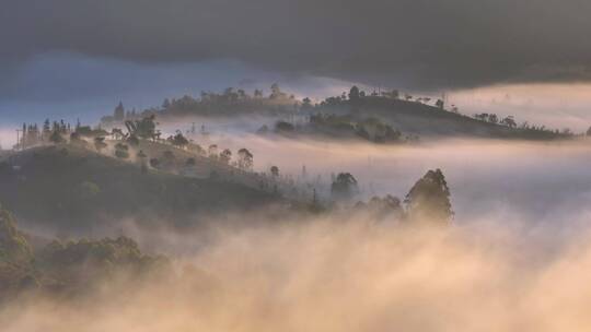 航拍茶山云海