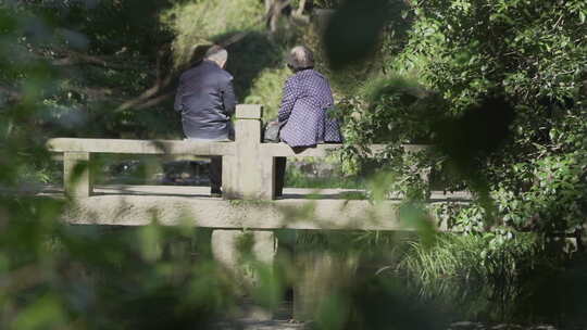 石桥上的老年夫妇视频素材模板下载