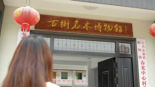 4K福州市永泰县古树名木博物馆（慢镜头）