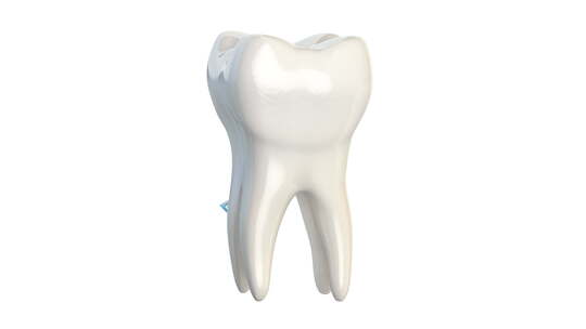 牙齿旋转，行隔离在白色上。牙齿保护和清新视频素材模板下载