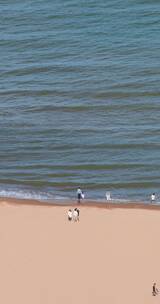 4k竖屏实拍阿那亚海滩