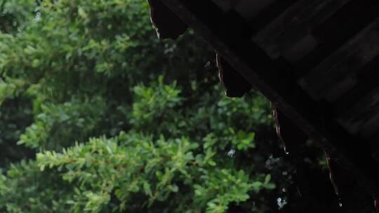 泉州开元寺雨景雨滴雨天宗教佛教