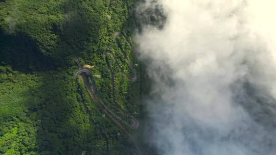 云海中秦岭道路车流