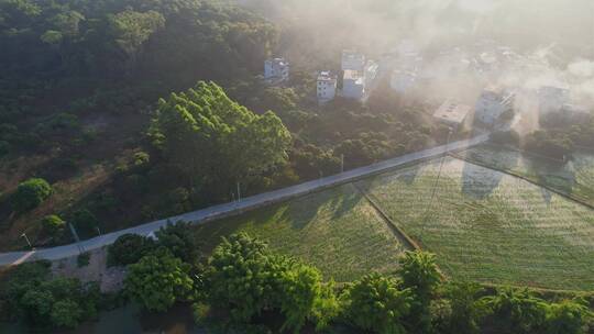 航拍福建新农村景观