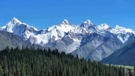 新疆昭苏夏塔雪山