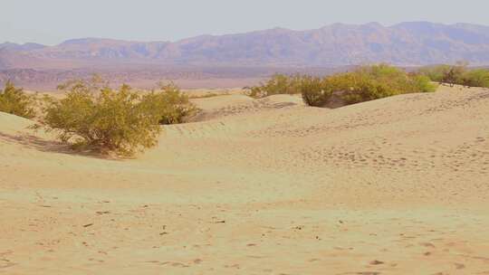 梅斯基特平坦沙丘，死亡谷，加利福尼亚州。视频素材模板下载