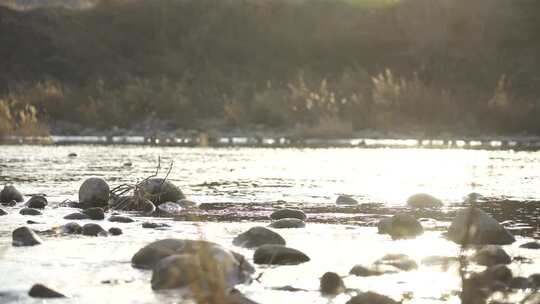 水 小溪 流动 河流 蜿蜒 清澈