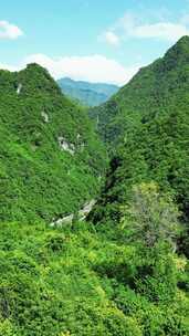 竖版航拍湖北神农架大山峡谷交通公路