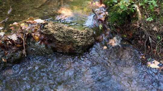 山林小溪流水