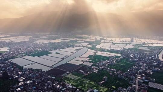 4k航拍云南蔬菜大棚种植基地 12