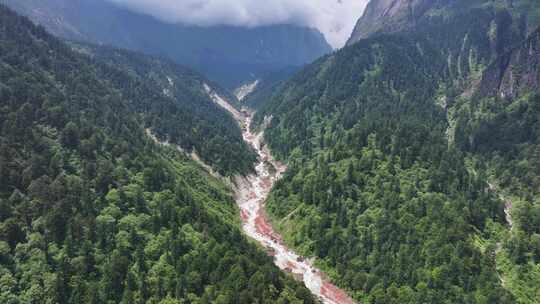 航拍四川甘孜贡嘎山区南门关沟森林河谷风光