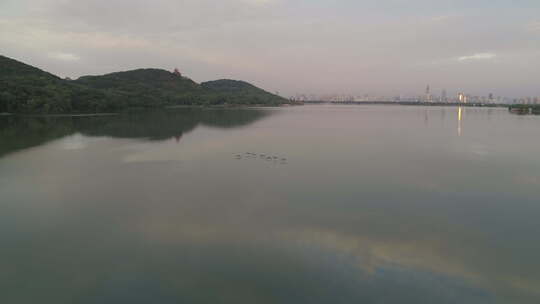 航拍武汉东湖磨山傍晚夕阳飞鸟视频素材模板下载
