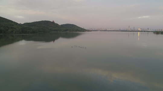 航拍武汉东湖磨山傍晚夕阳飞鸟