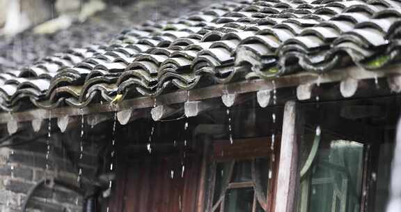 （慢镜）中国千年古镇乌镇下雨天屋檐滴水