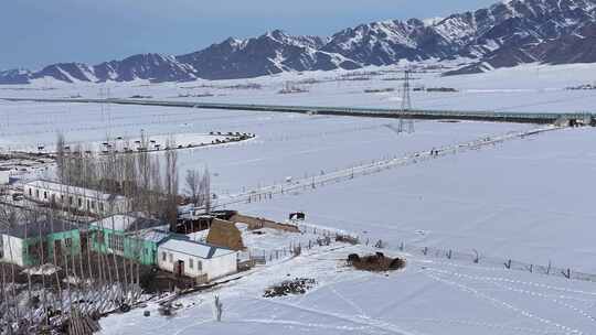 新疆伊犁冬季那拉提草原雪景库尔德宁雪山