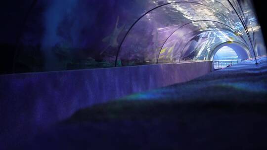 景点海洋馆的海底隧道