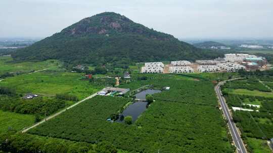 绿树环绕的山间乡村景色