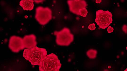 唯美玫瑰花粒子背景视频视频素材模板下载