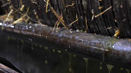 4K实拍古法榨油百年油坊茶油茶籽油加工