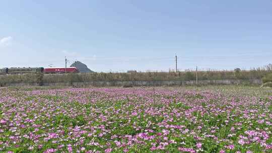 高铁动车列车高铁经过春天春暖花开田野乡村