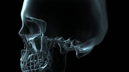 头骨旋转的3D医学动画视频素材模板下载