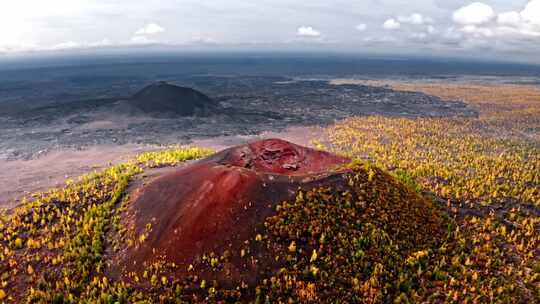 火山上空的黄树