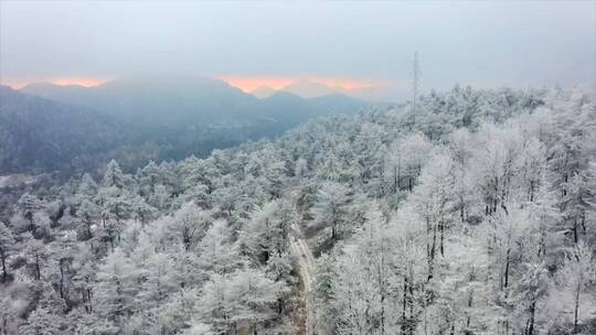 最美晚霞，每当夕阳抖动着七彩渐渐的远去