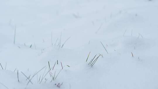 伏牛山冬季雪景雾凇