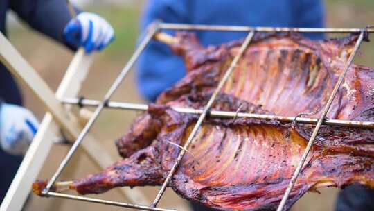 烧烤 烤肉 野外 野餐