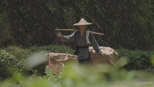 茶农 制茶 传统手艺