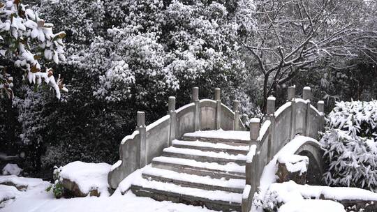 公园雪景