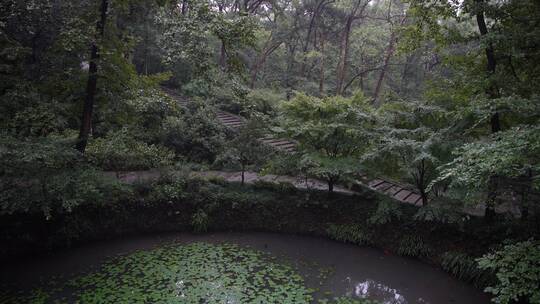 杭州西湖景区虎跑公园虎跑史话馆