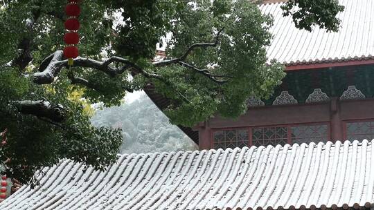 杭州上天竺法喜讲寺下雪天风景