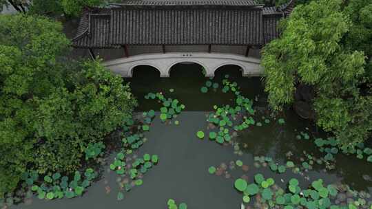 夏天荷花盛开航拍杭州湘湖风光