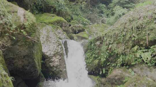 青城山后山溪水