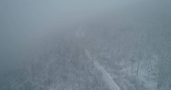 航拍春季降雪时迷蒙的森林