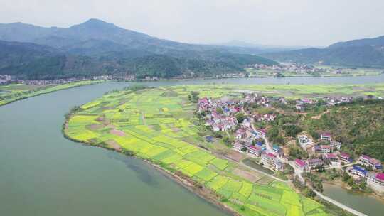 湖南省衡东县杨林镇洣水河畔油菜花航拍4k